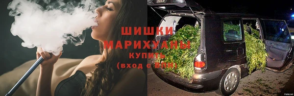 ПСИЛОЦИБИНОВЫЕ ГРИБЫ Алексеевка
