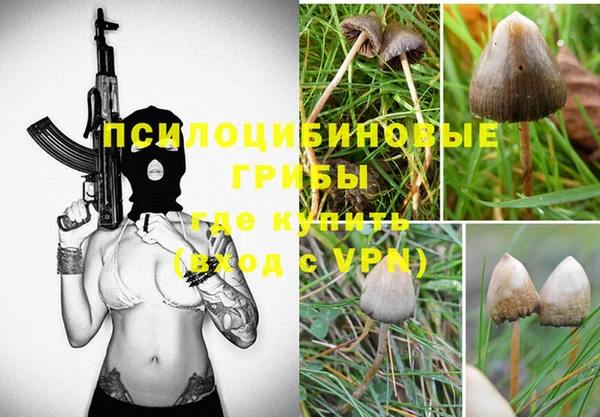 не бодяженный Армянск