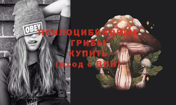 дурь Арсеньев
