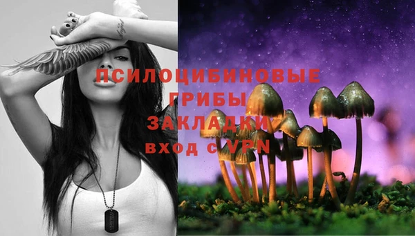 не бодяженный Армянск