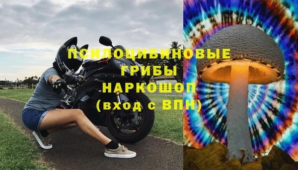 jwh Аркадак
