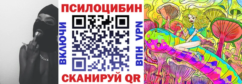 Псилоцибиновые грибы GOLDEN TEACHER  Пушкино 